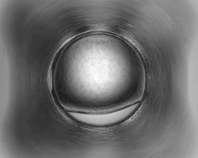 X0000093421127200710260953