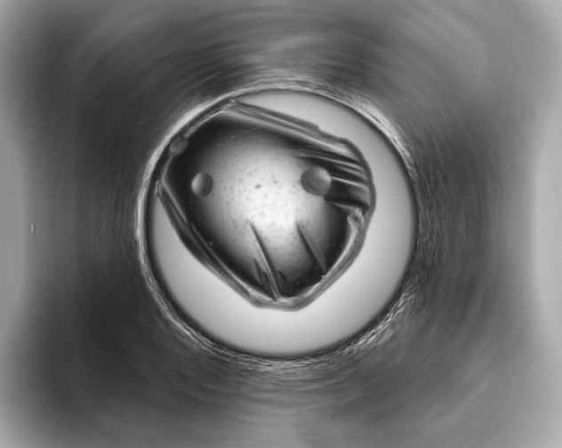 X0000093421128200710260953