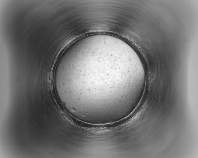 X0000093421129200710260953