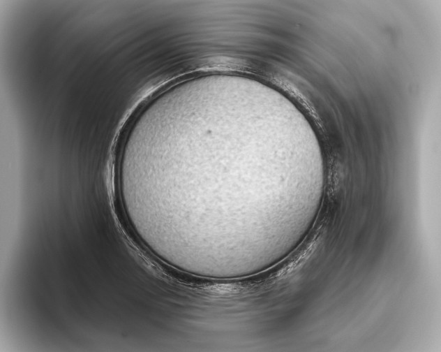 X0000093421130200710260953