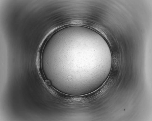 X0000093421131200710260953