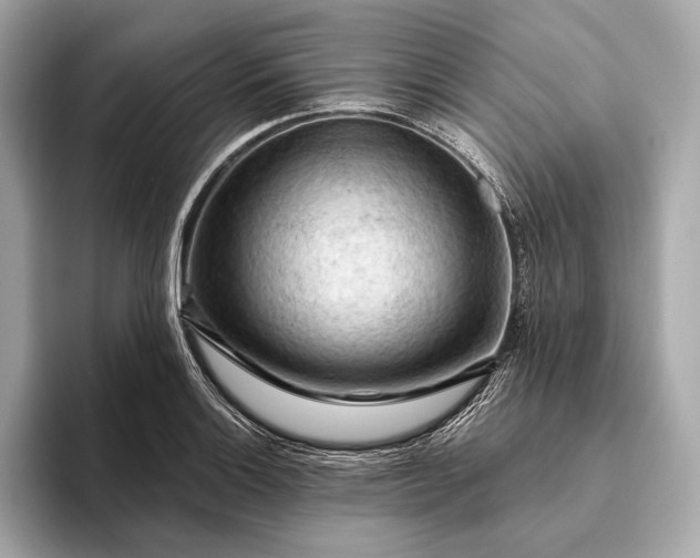 X0000093421132200710260953