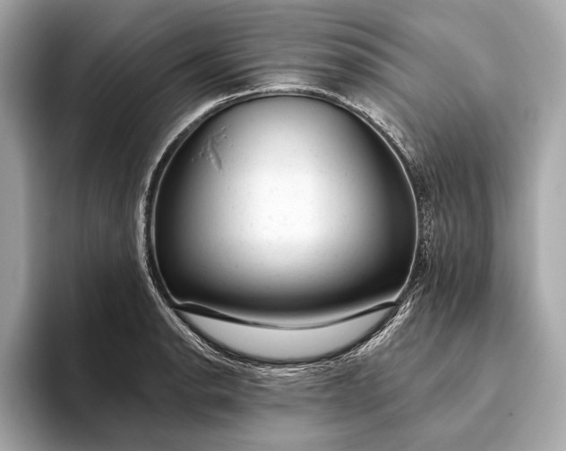 X0000093421134200710260953