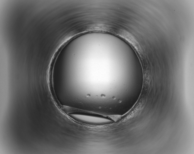 X0000093421135200710260953