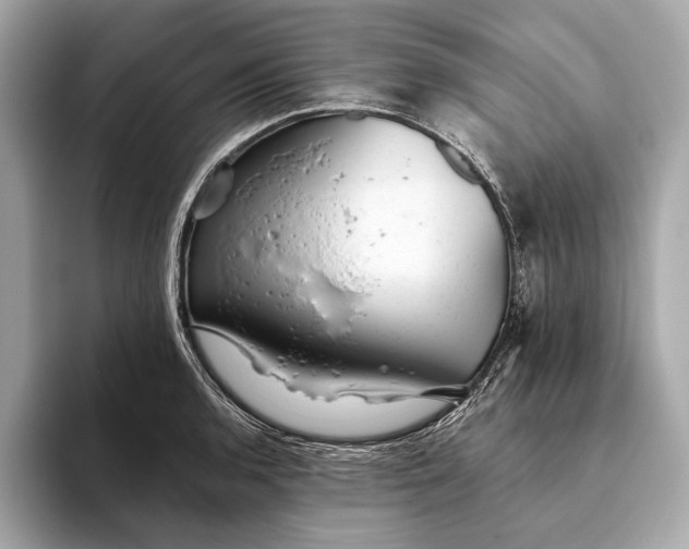 X0000093421136200710260953