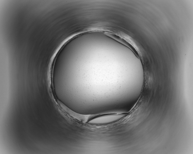 X0000093421148200710260953