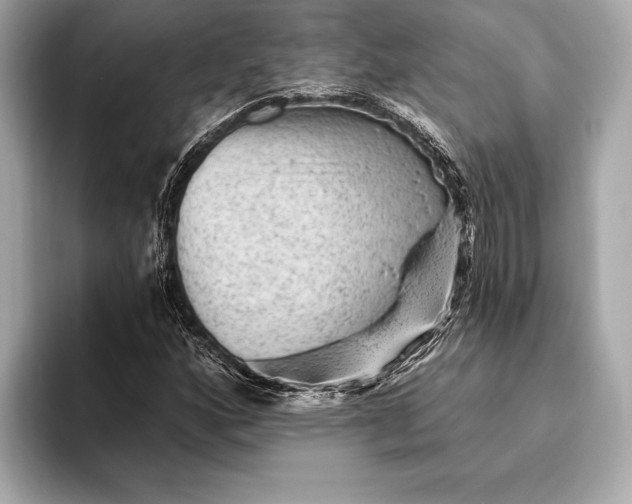 X0000093421160200710260952