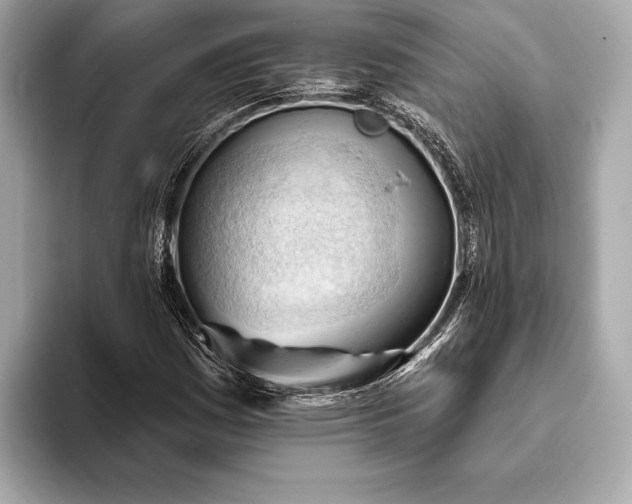 X0000093421161200710260952