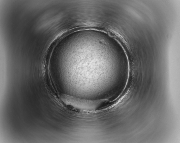 X0000093421163200710260952