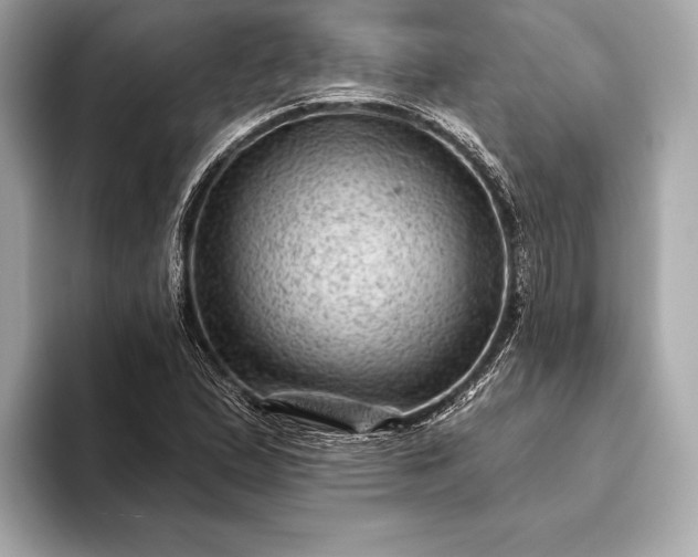 X0000093421167200710260952