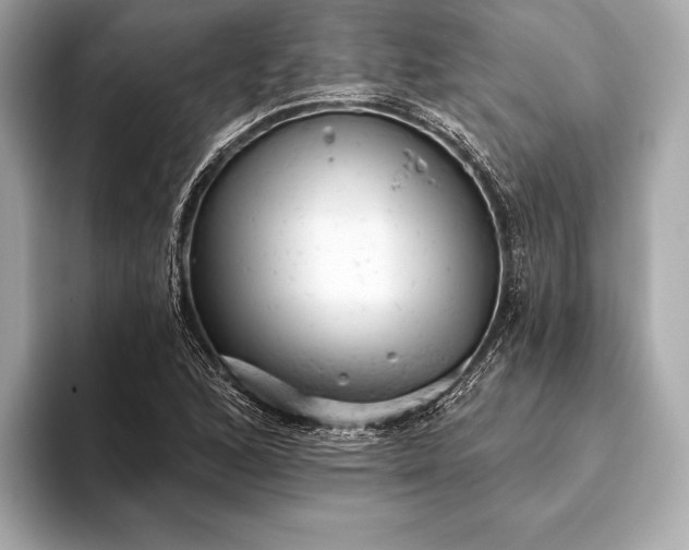 X0000093421168200710260952