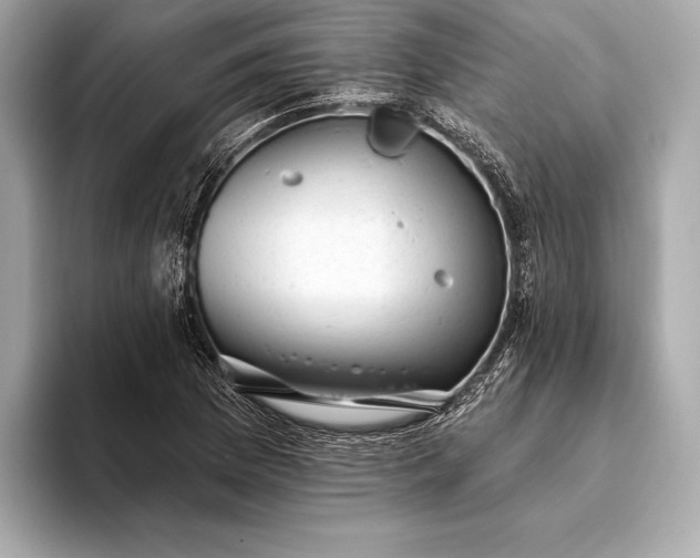 X0000093421169200710260952