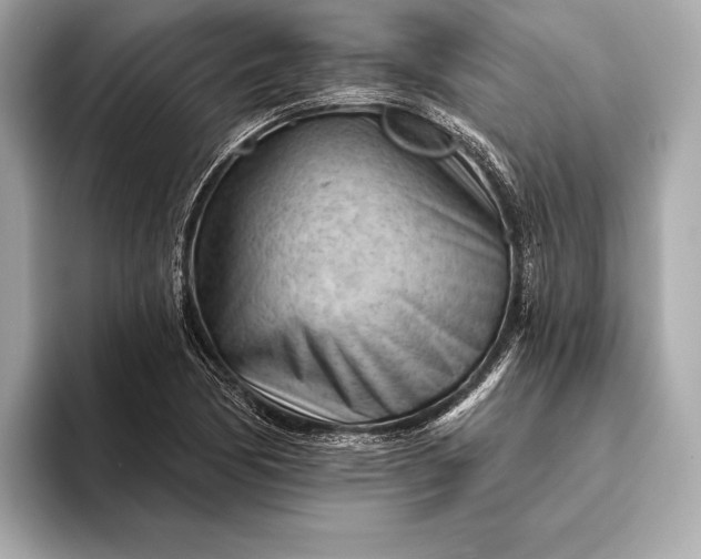 X0000093421170200710260952