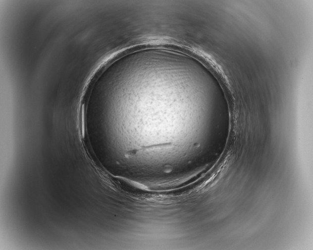 X0000093421175200710260952