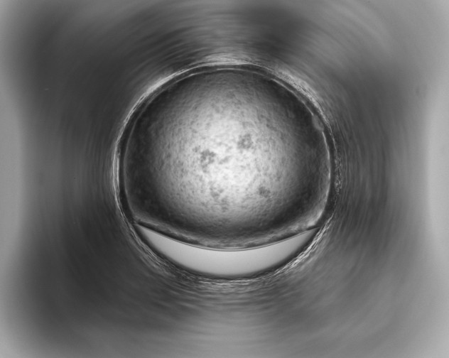 X0000093421179200710260952