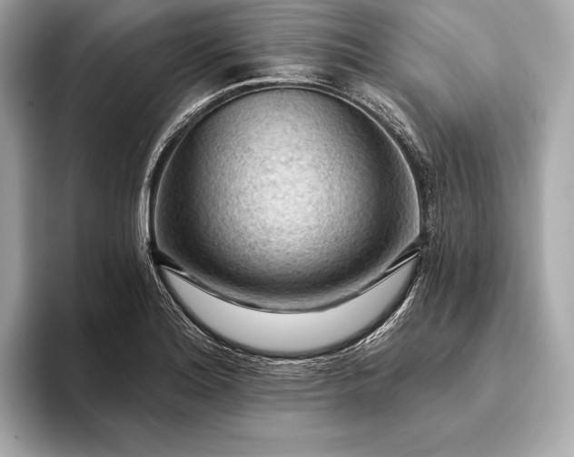 X0000093421180200710260952