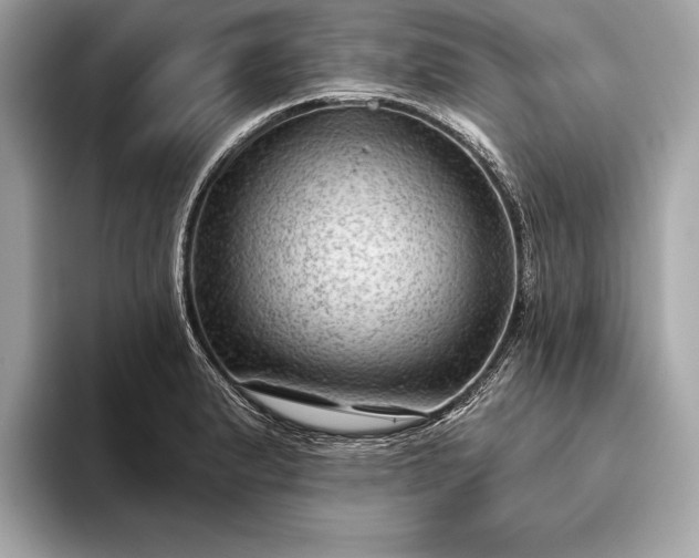 X0000093421183200710260952