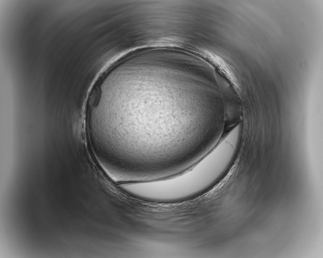 X0000093421184200710260952