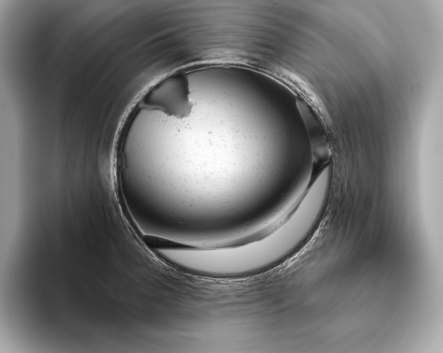 X0000093421188200710260952