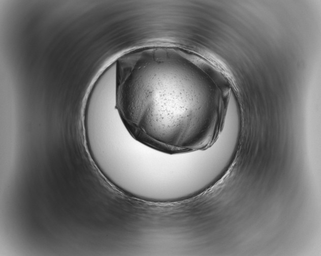 X0000093421192200710260952