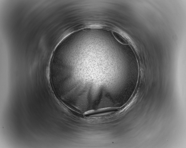 X0000093421194200710260952