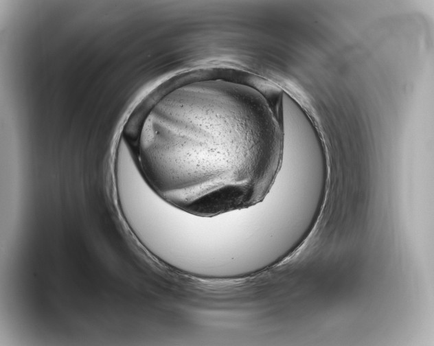 X0000093421200200710260952