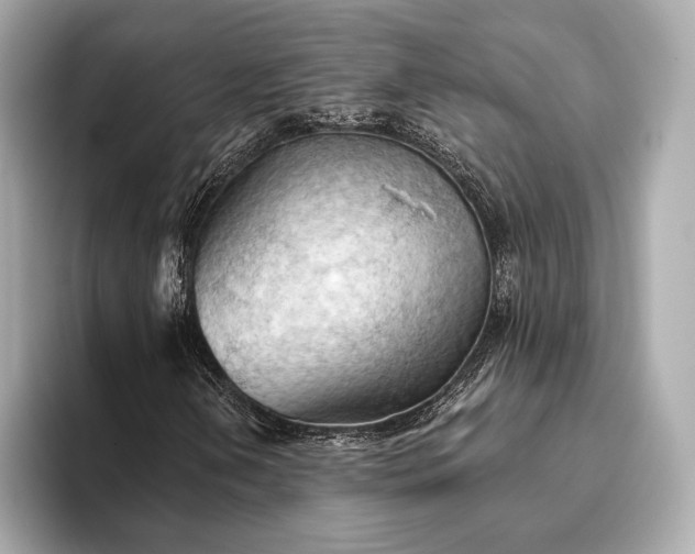 X0000093421202200710260951