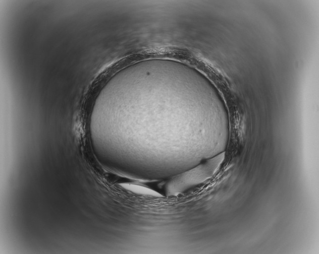 X0000093421206200710260951