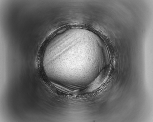 X0000093421208200710260951