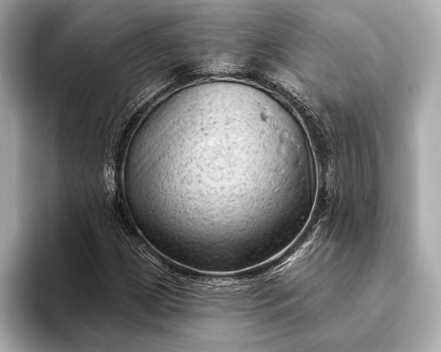 X0000093421209200710260951