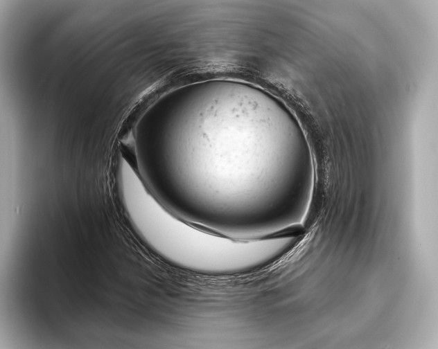 X0000093421210200710260951