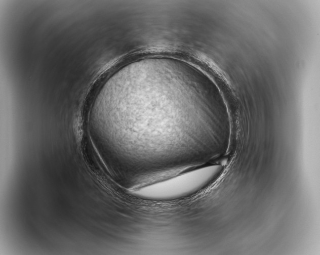 X0000093421213200710260951