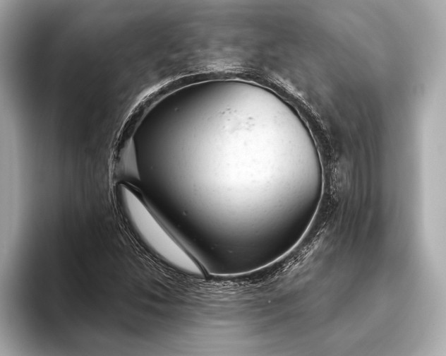 X0000093421214200710260951