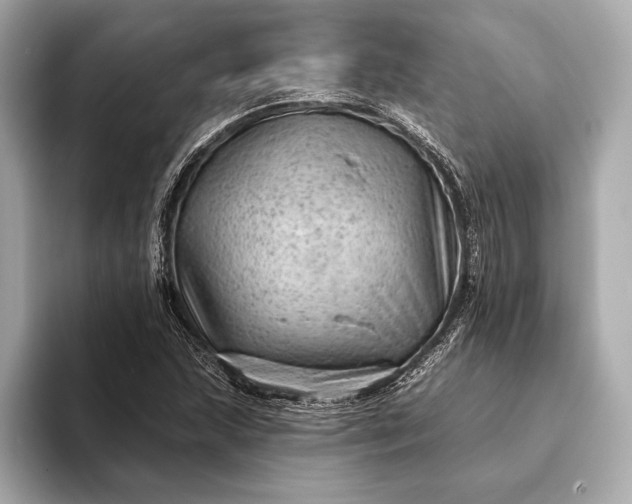 X0000093421215200710260951