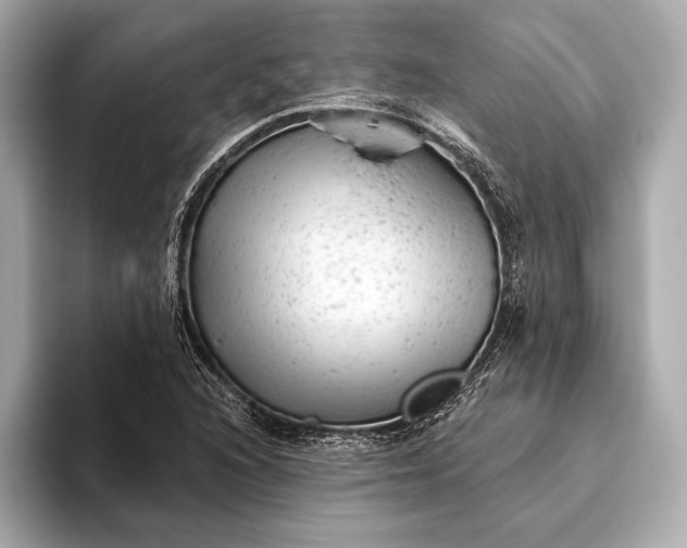 X0000093421216200710260951