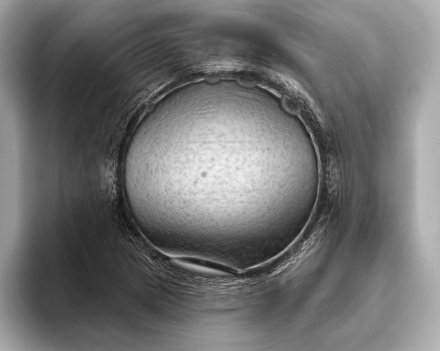 X0000093421217200710260951