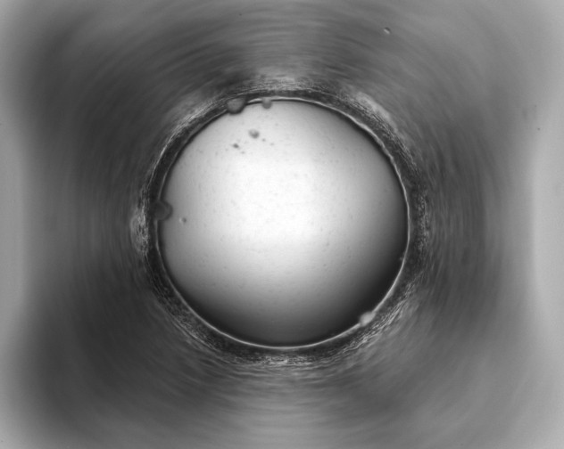 X0000093421218200710260951