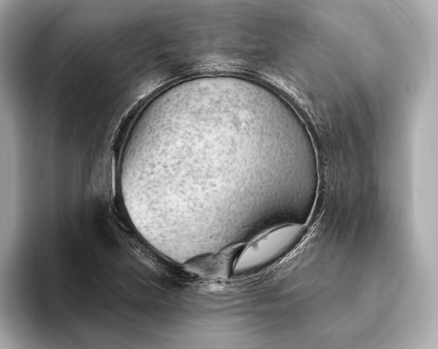 X0000093421219200710260951