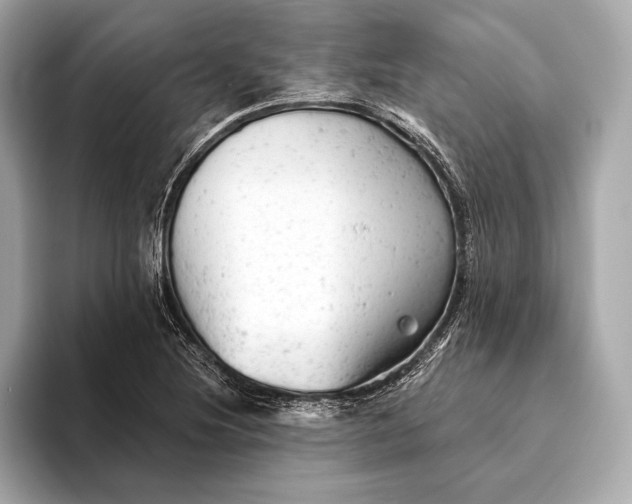 X0000093421220200710260951