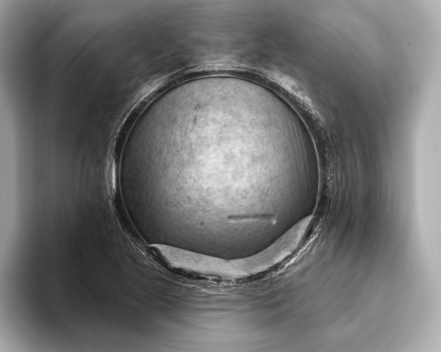 X0000093421221200710260951