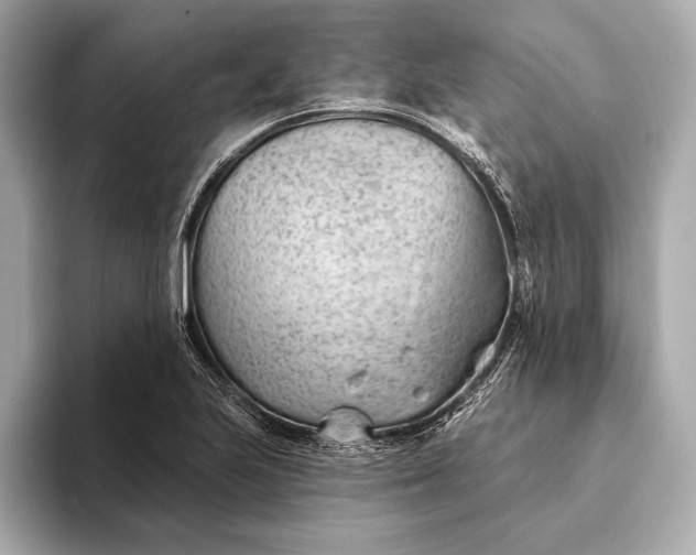 X0000093421223200710260951