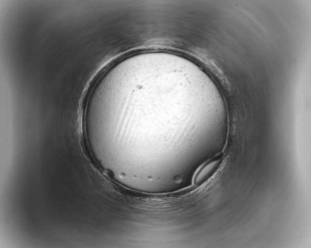 X0000093421224200710260951