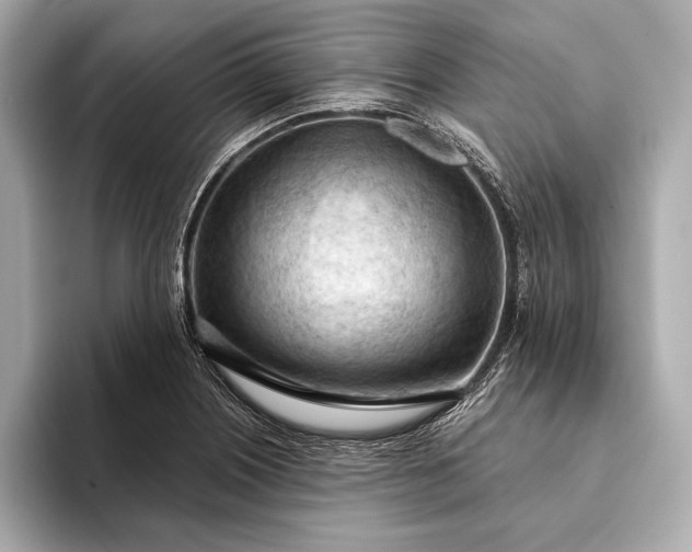 X0000093421226200710260951