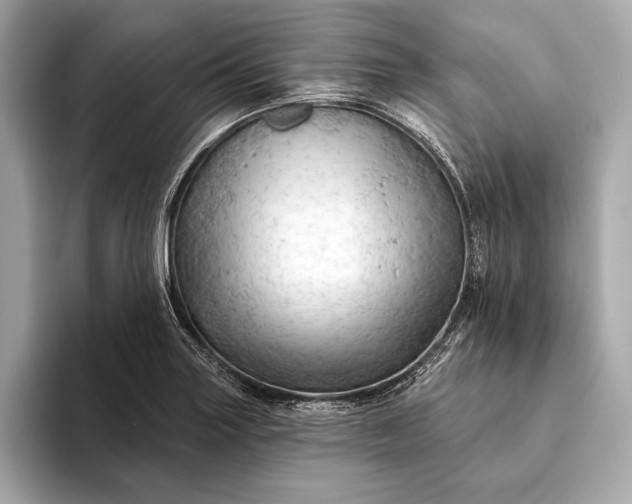 X0000093421227200710260951