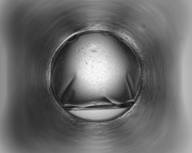 X0000093421228200710260951