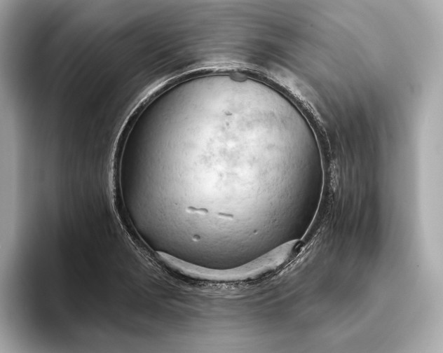 X0000093421229200710260951