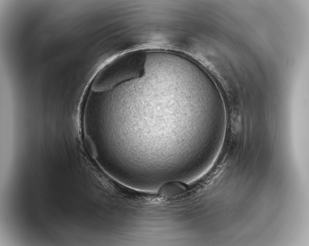 X0000093421230200710260951