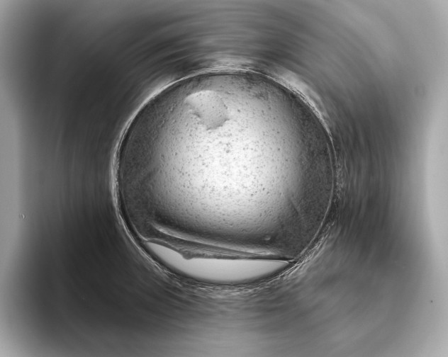 X0000093421235200710260952