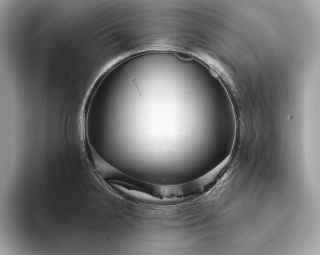 X0000093421238200710260952