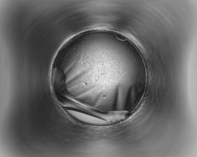 X0000093421240200710260952